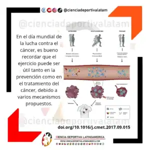 Mecanismo propuestos para los efectos del ejercicio en el cáncer