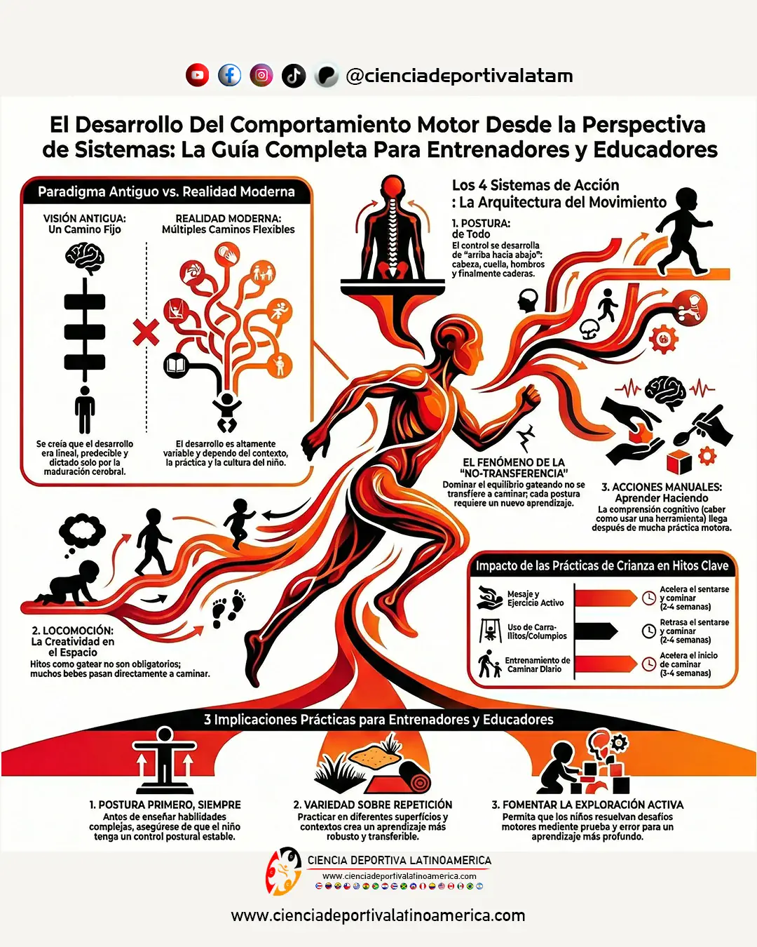 El Desarrollo Del Comportamiento Motor Desde la Perspectiva de Sistemas ...